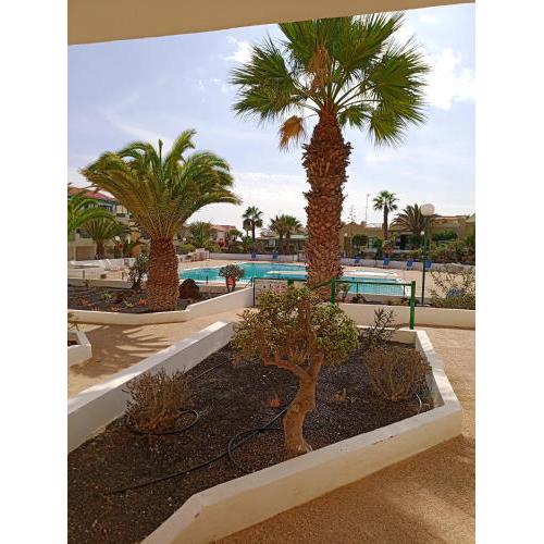 Las Torres Del Castillo-120 Palms