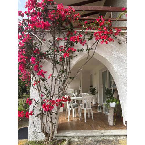 Le Bouganville apartment