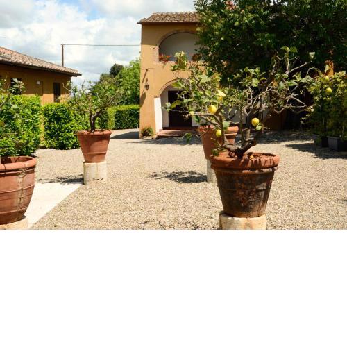 Le case del conventino di Marciano