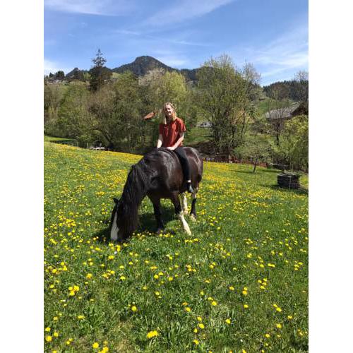 Le Cheval Blanc