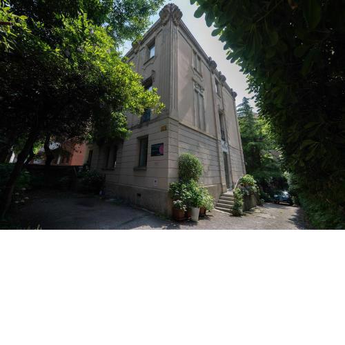 Le Ortensie di Via Rossetti