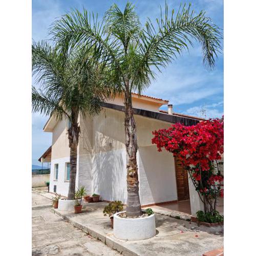 Le Palme