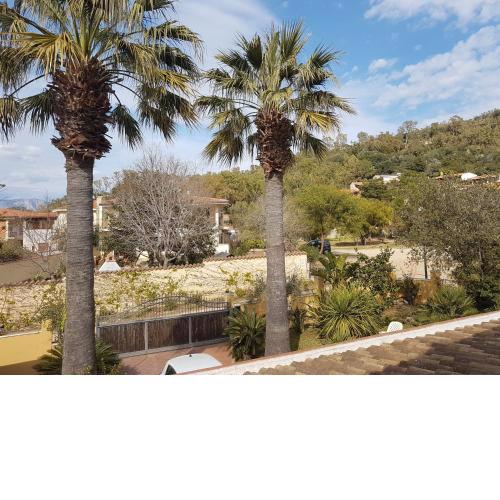 Le palme