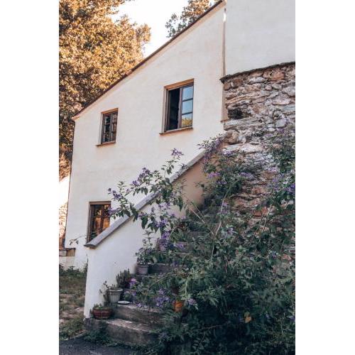 Le Petit Chateau