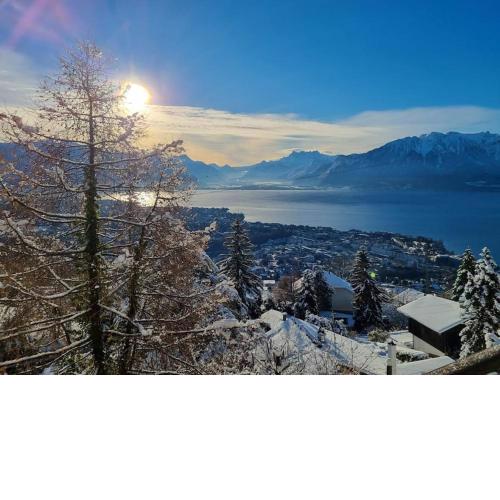 Le toit de Chardonne - Entre Alpes et lac Léman
