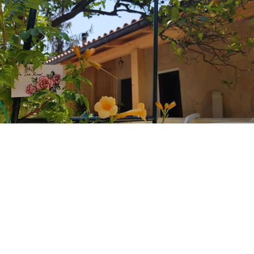 Le tre rose