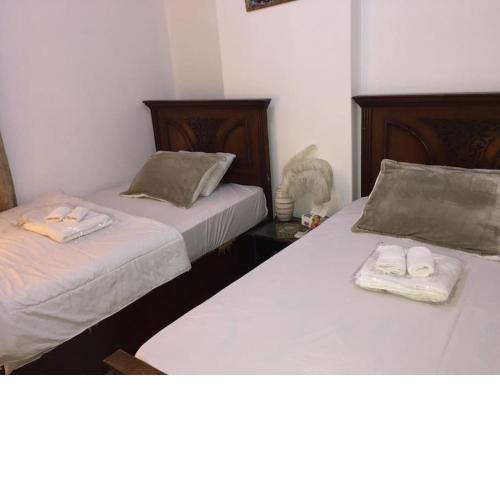 LECASA Apartment In Nasr City