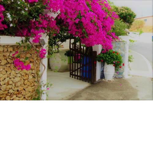 Lefka