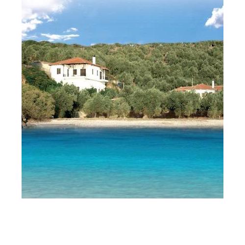 Lefkothea Studios