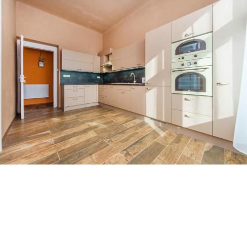 Legerova Apartment