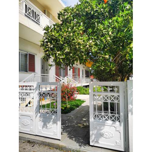 Lemon tree's house