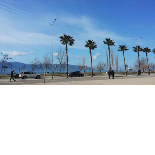 Vlorë County 