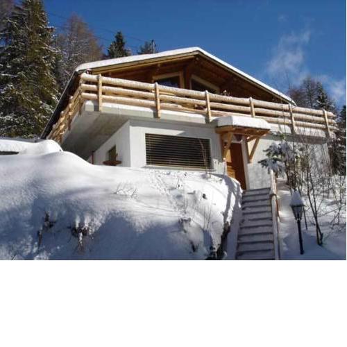 Les Ecureuils