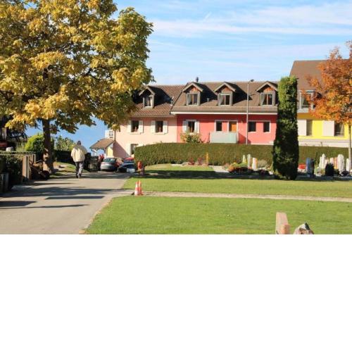 Les Narcisses, Blonay