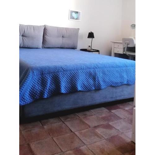 Letizia home