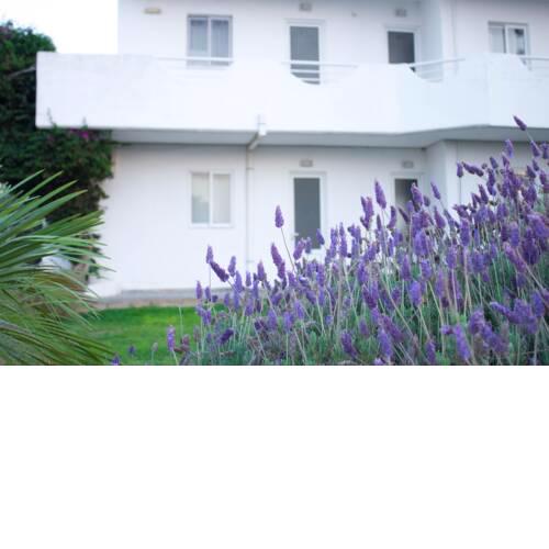 Levanda Studios
