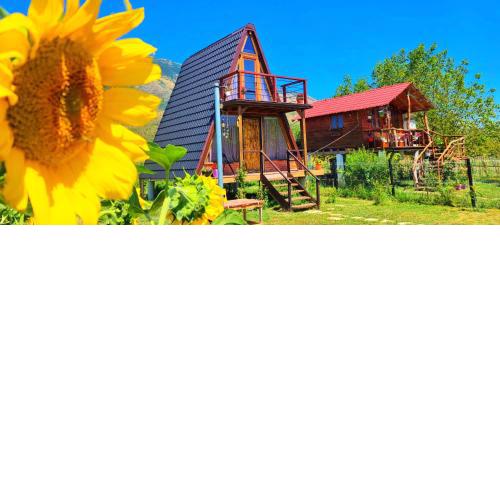 Life on the farm
