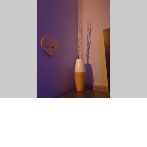 Linden Apartment