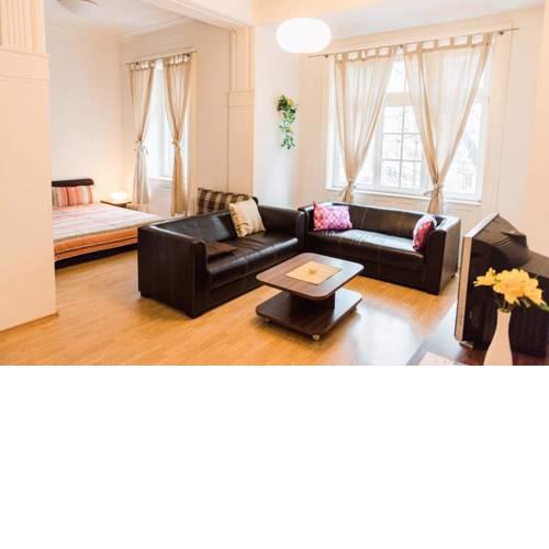 Lion Apartment Medena N.2, big size, high ceilings