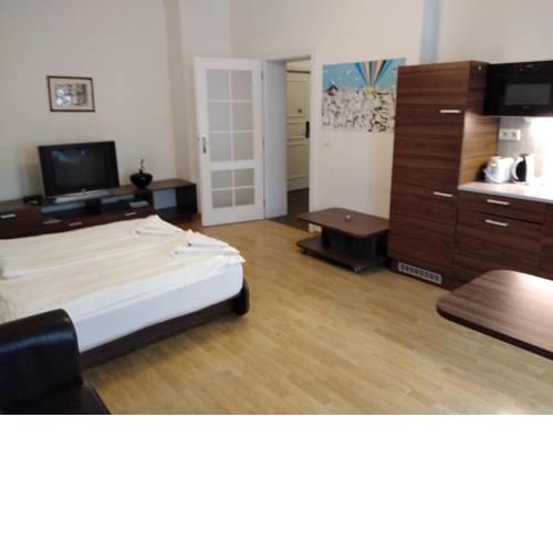 Lion Apartment Medena N.6, big size high ceilings