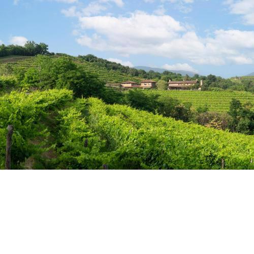 Lis Fadis Wine Relais