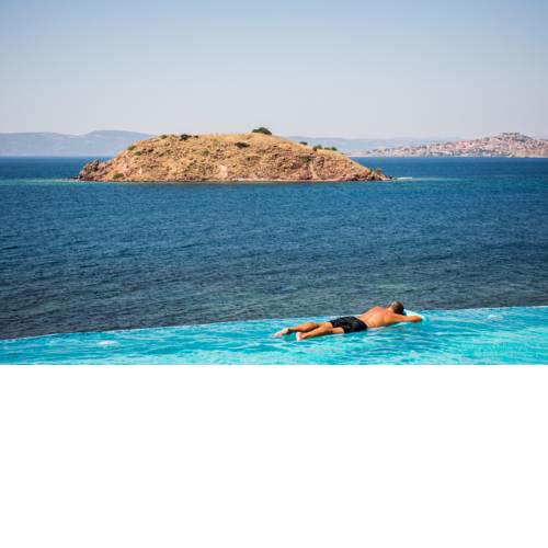 Little Bird Lesvos