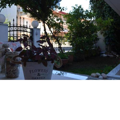 Little Paradise in Siviri