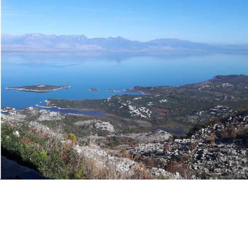 Livari Viewpoint