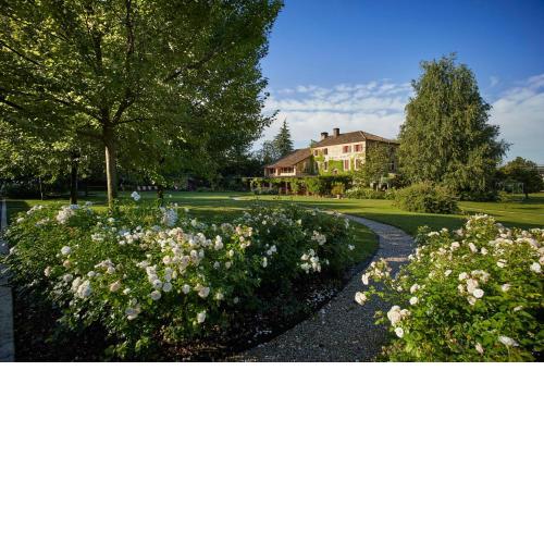 Locanda Sandi