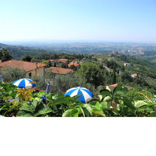 Locazione Turistica Calendula