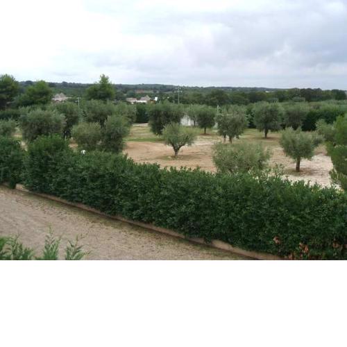 Locazione turistica Green Park