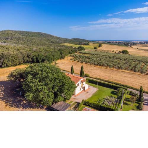 Locazione Turistica I Limoni