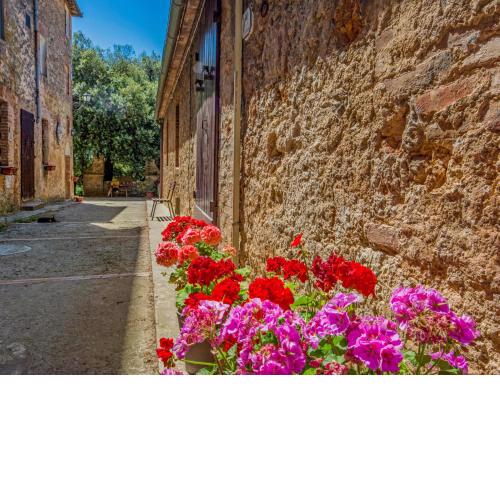 Locazione Turistica Il Cardo