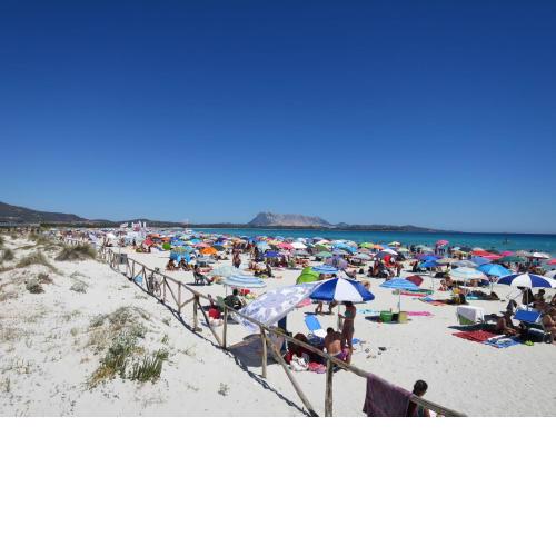 Locazione Turistica Le Canne 2 - TEO112