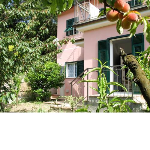Locazione Turistica Rosa