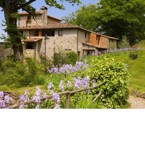 Locazione Turistica Villa Grassina-5