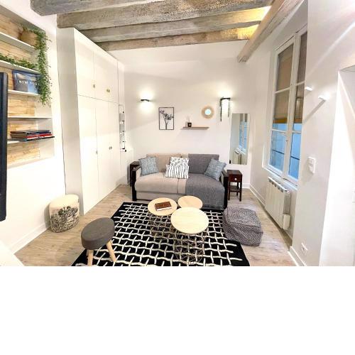 Loft du Quai des Grands Augustins