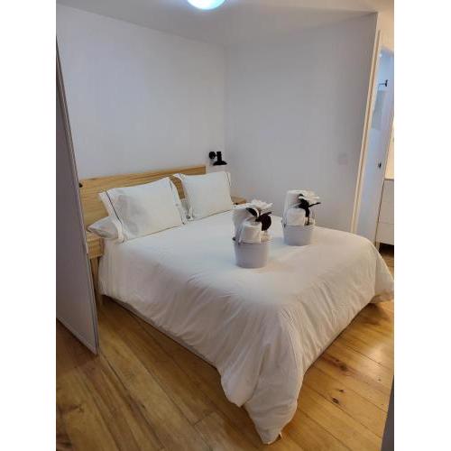 LOFT NEW MADRID
