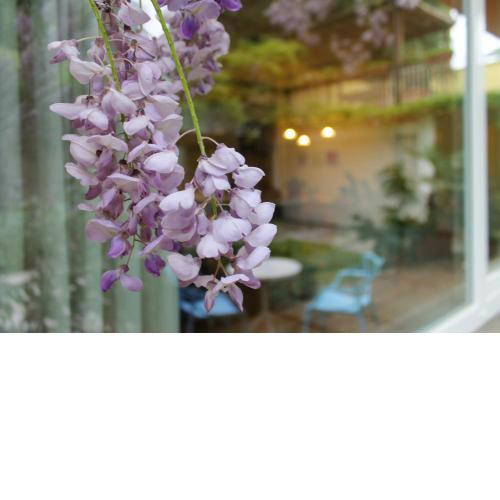 Loft Sottolalbero