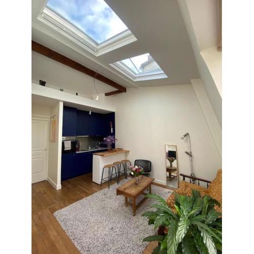 Loft sous les toits en plein coeur de Montmartre!