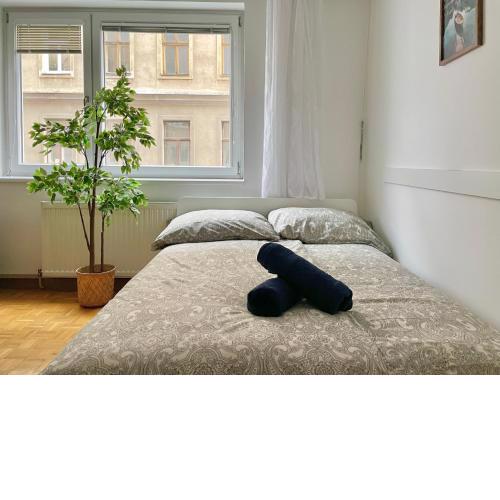 Long Term Spacious Apartment near AKH