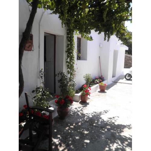 LORENZIA'S HOUSE