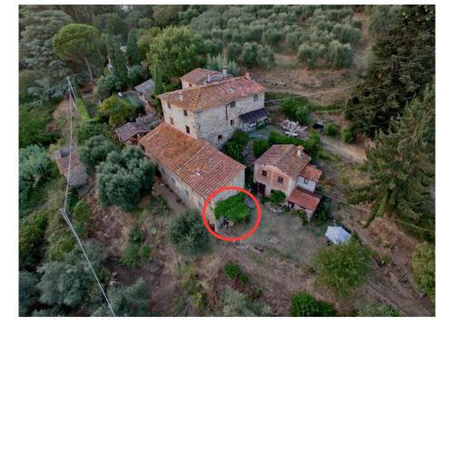 L'Orto dei Bruchi La Lavanda B&B