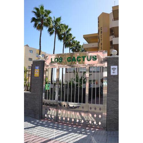 Los Cactus