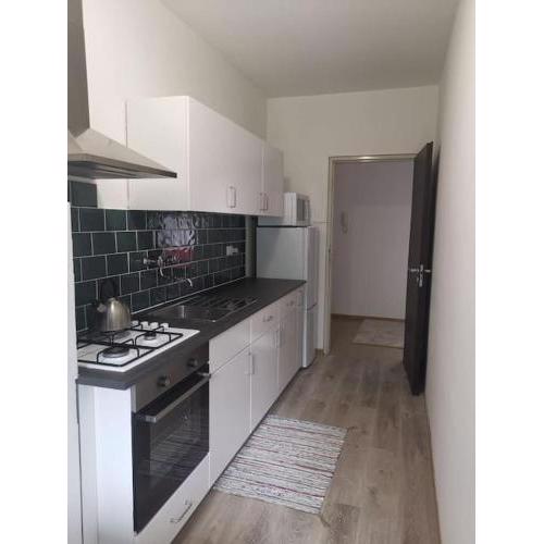 Lovely - 3 spacious Bedroom-near town center
