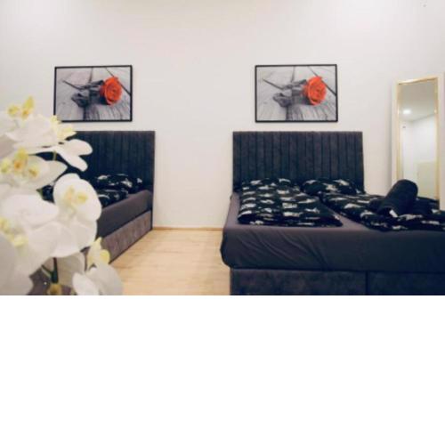 Lovely 2BR Apt With Modern Amenities Near Augarten