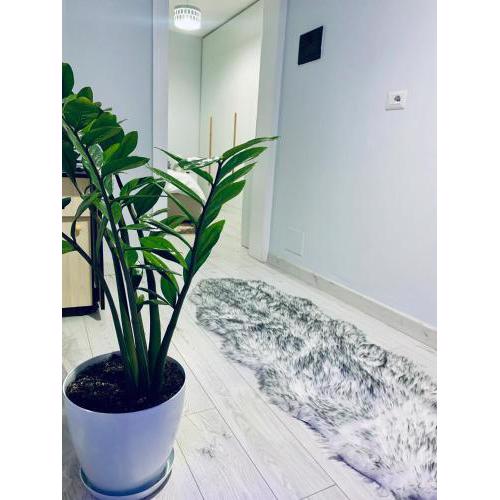 Lovely Apartment at the city of Tirana