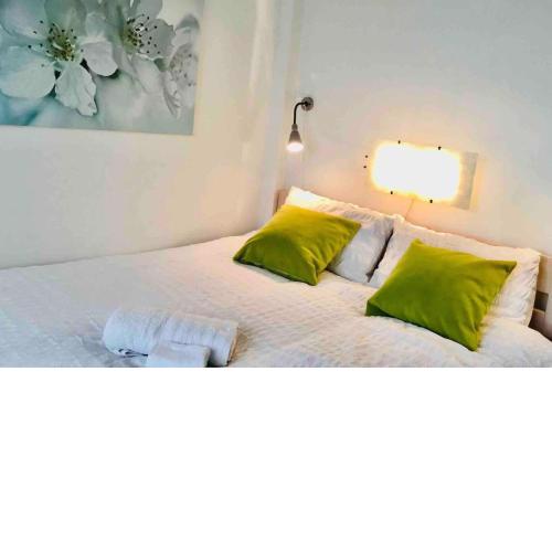 Lovely Apartment in Centre Prague 1