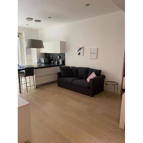 Lovely apartment in the new Porta Nuova area
