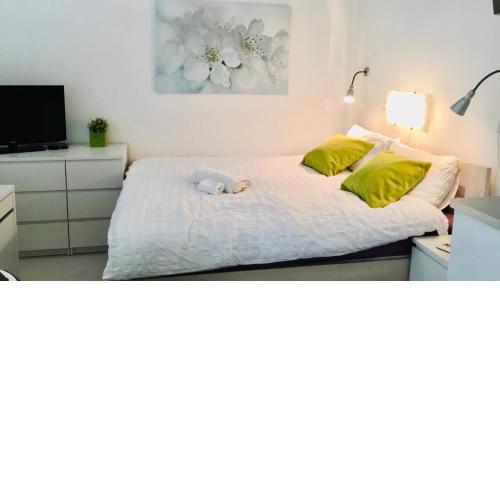 Lovely Apartment near national museum